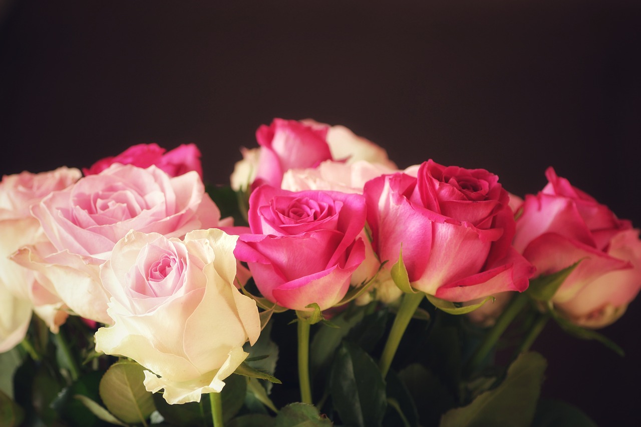 Floristika a Vánoce